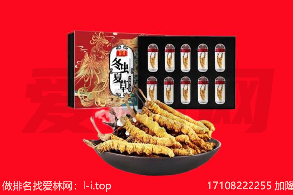 韶关仁化县回收虫草.jpg